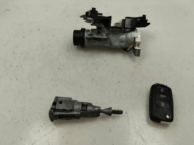 JUEGO BOMBINES VOLKSWAGEN TIGUAN 2016 2.0 TDI (110 CV)