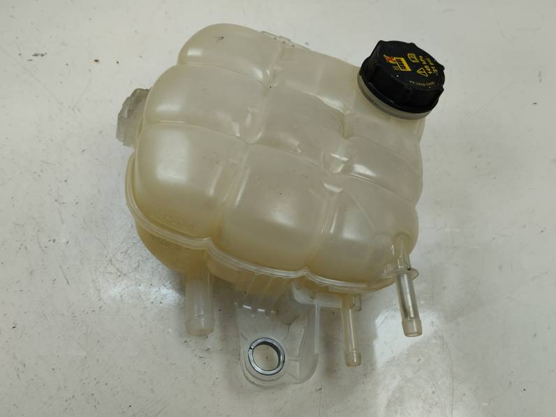 DEPOSITO EXPANSION FORD FOCUS 2021 1.0 ECOBOOST (125 CV)