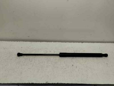 AMORTIGUADOR MALETERO PORTON CITROEN C3 2010 1.1 (60 CV)