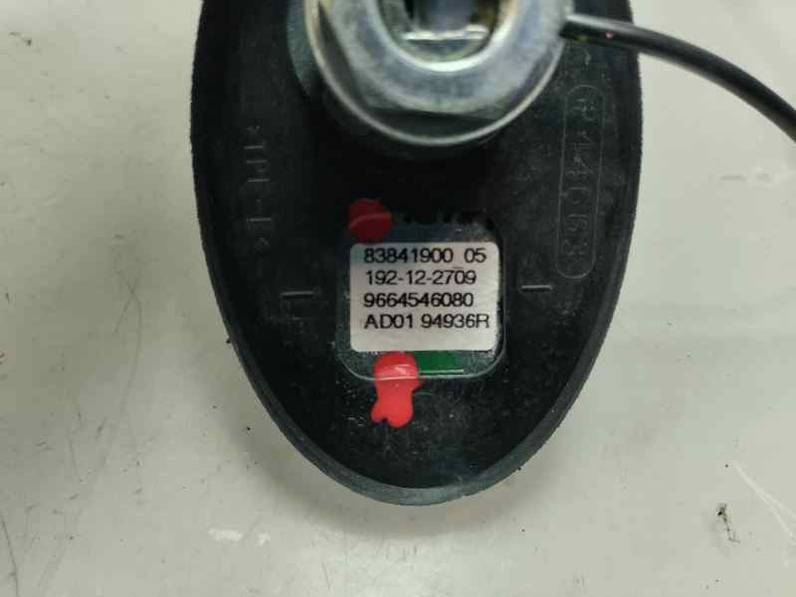 ANTENA CITROEN C5 STATION WAGON 2012 2.0 HDI MILL (140 CV)