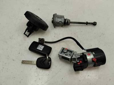 JUEGO BOMBINES CITROEN C5 STATION WAGON 2012 2.0 HDI MILL (140 CV)