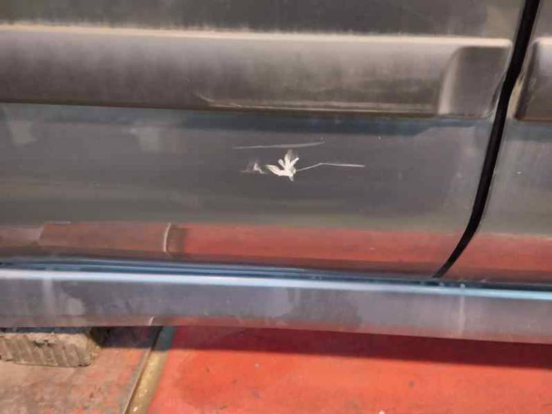 PUERTA TRASERA DERECHA MITSUBISHI CARISMA BERLINA 5 2003 1.9 DI-D (116 CV)