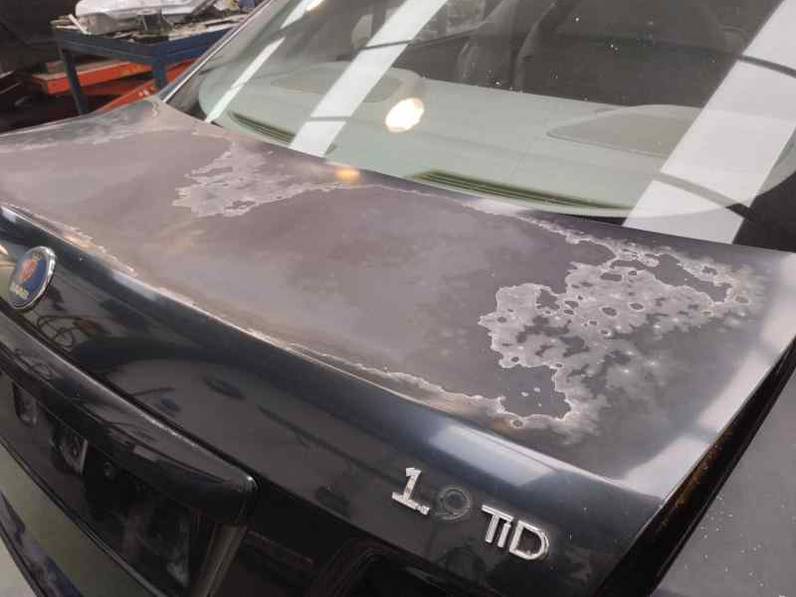 PORTON TRASERO SAAB 9 3 BERLINA 2007 1.9 CDTI (150 CV)