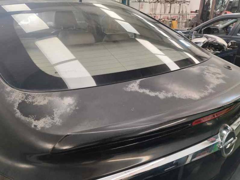 PORTON TRASERO OPEL INSIGNIA BERLINA 2010 2.0 CDTI (131 CV)