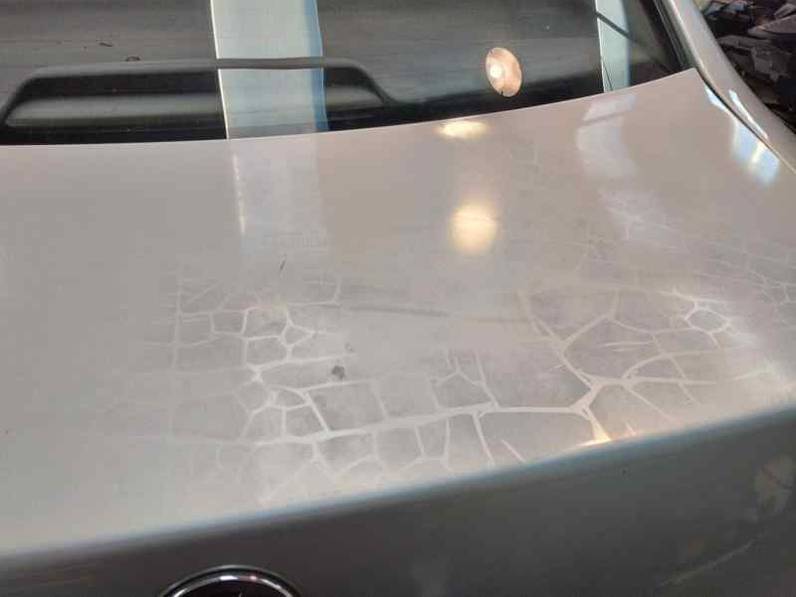 PORTON TRASERO VOLKSWAGEN PASSAT BERLINA 2002 1.9 TDI (131 CV)