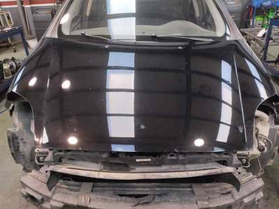 CAPOT FIAT BRAVO 2007 1.9 8V JTD (120 CV)