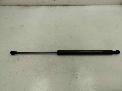 AMORTIGUADOR MALETERO PORTON RENAULT CLIO IV 2018 0.9 TCE (90 CV)