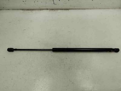 AMORTIGUADOR MALETERO PORTON RENAULT SCENIC II 2007 1.5 DCI (107 CV)