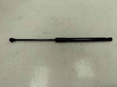 AMORTIGUADOR MALETERO PORTON DACIA SANDERO III 2024 1.0 AUTOGAS