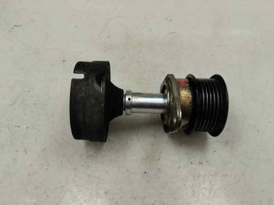 POLEA ALTERNADOR FORD FIESTA 2002 1.8 TDDI (75 CV)