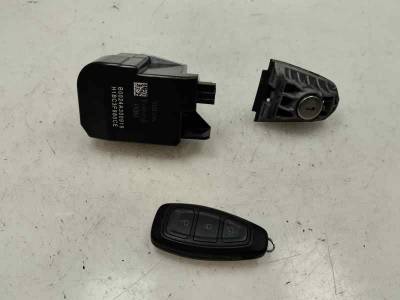 JUEGO BOMBINES FORD FIESTA 2019 1.0 ECOBOOST (100 CV)