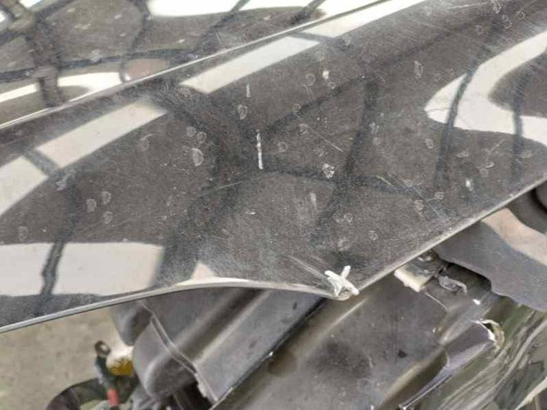 CAPOT FORD FIESTA 2019 1.0 ECOBOOST (100 CV)