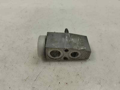 VALVULA EXPANSION FORD FIESTA 2019 1.0 ECOBOOST (100 CV)