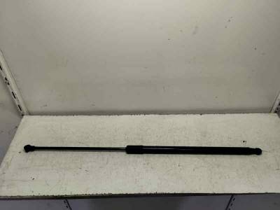 AMORTIGUADORES MALETERO PORTON DACIA DUSTER II 2021 1.5 DCI (116 CV)