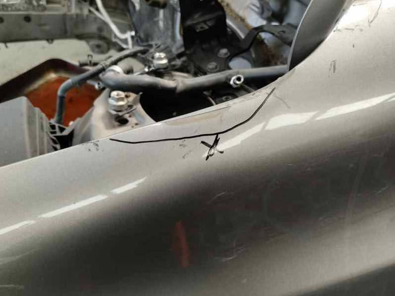 ALETA DELANTERA IZQUIERDA TOYOTA AURIS TOURING SPORTS 2014 2.0 D-4D (124 CV)