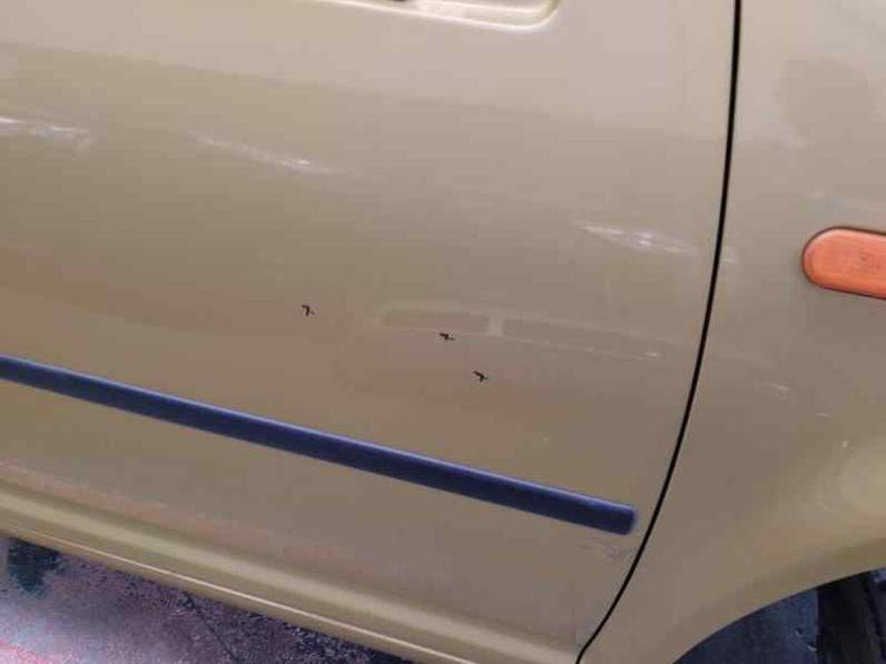 PUERTA DELANTERA DERECHA VOLKSWAGEN GOLF IV BERLINA 1998 1.9 TDI (110 CV)