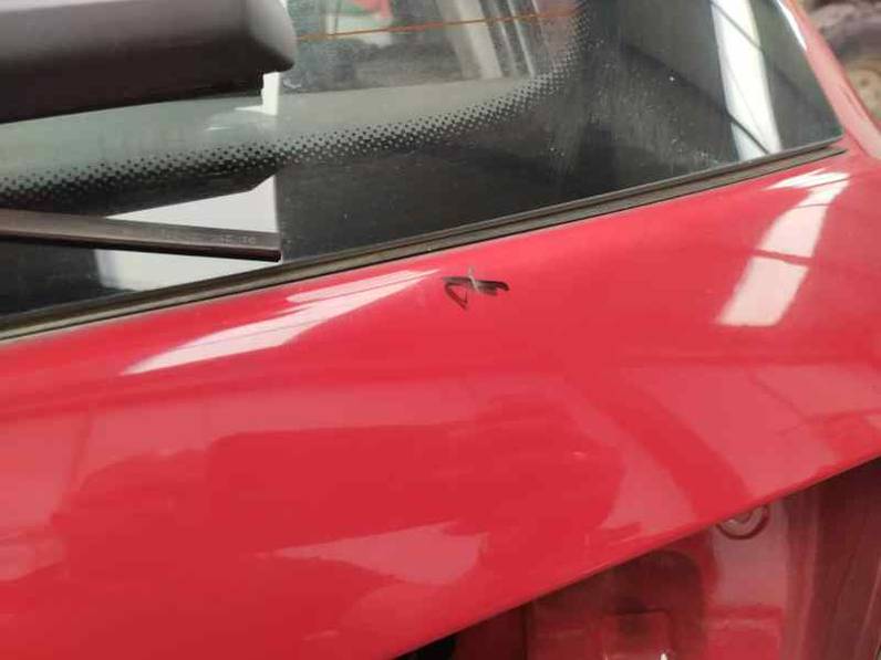 PORTON TRASERO SEAT IBIZA 2006 1.9 TDI (101 CV)