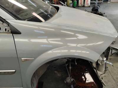 ALETA DELANTERA DERECHA RENAULT MEGANE II CLASSIC BERLINA 2004 1.9 DCI (120 CV)