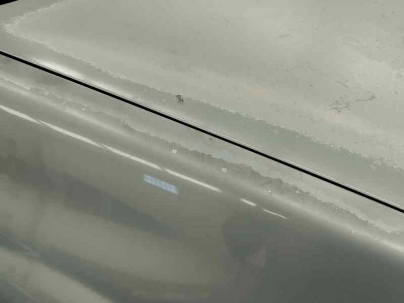 ALETA DELANTERA DERECHA RENAULT MEGANE II CLASSIC BERLINA 2004 1.9 DCI (120 CV)