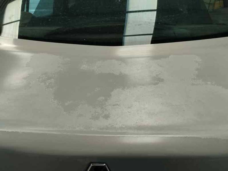 PORTON TRASERO RENAULT MEGANE II CLASSIC BERLINA 2004 1.9 DCI (120 CV)