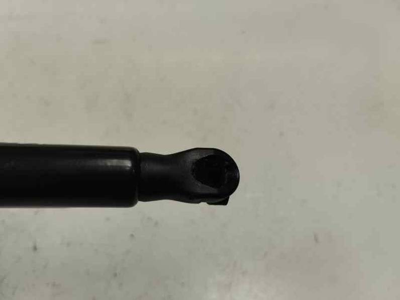 AMORTIGUADOR MALETERO PORTON RENAULT CLIO V 2024 1.5 DCI