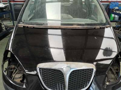 CAPOT LANCIA MUSA 2005 1.9 JTD (101 CV)