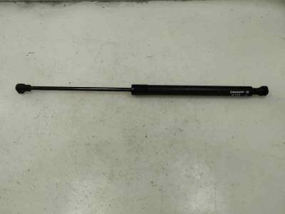 AMORTIGUADOR MALETERO PORTON DACIA SANDERO 2018 0.9 TCE (90 CV)