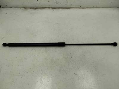 AMORTIGUADOR CAPOT DACIA SANDERO 2018 0.9 TCE (90 CV)